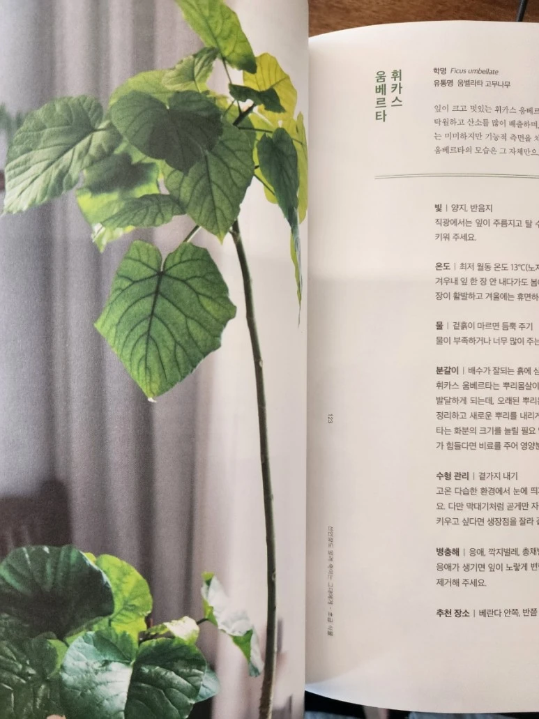 20230818%EF%BC%BF102452.jpg?type=w773