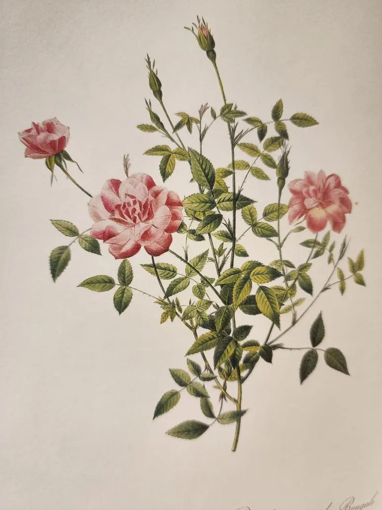 20240828%EF%BC%BF144550.jpg?type=w773