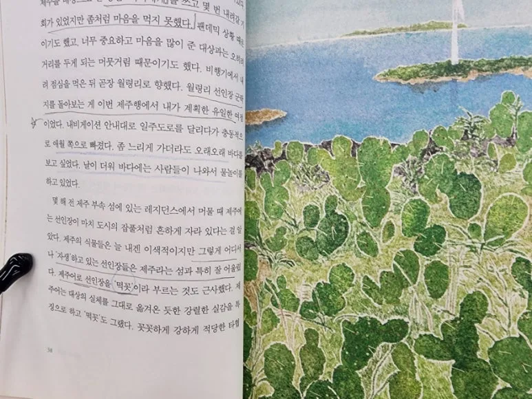 20240716%EF%BC%BF180328.jpg?type=w773