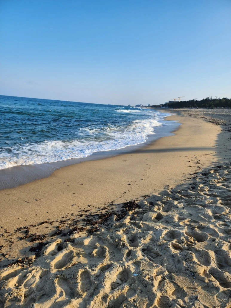 20240110%EF%BC%BF153000.jpg?type=w773