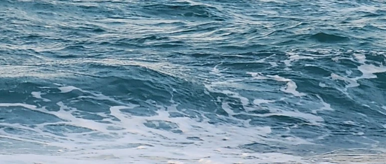 SE-a2cfdb44-2e32-4125-8ea7-fff088b6cbf6.jpg?type=w773