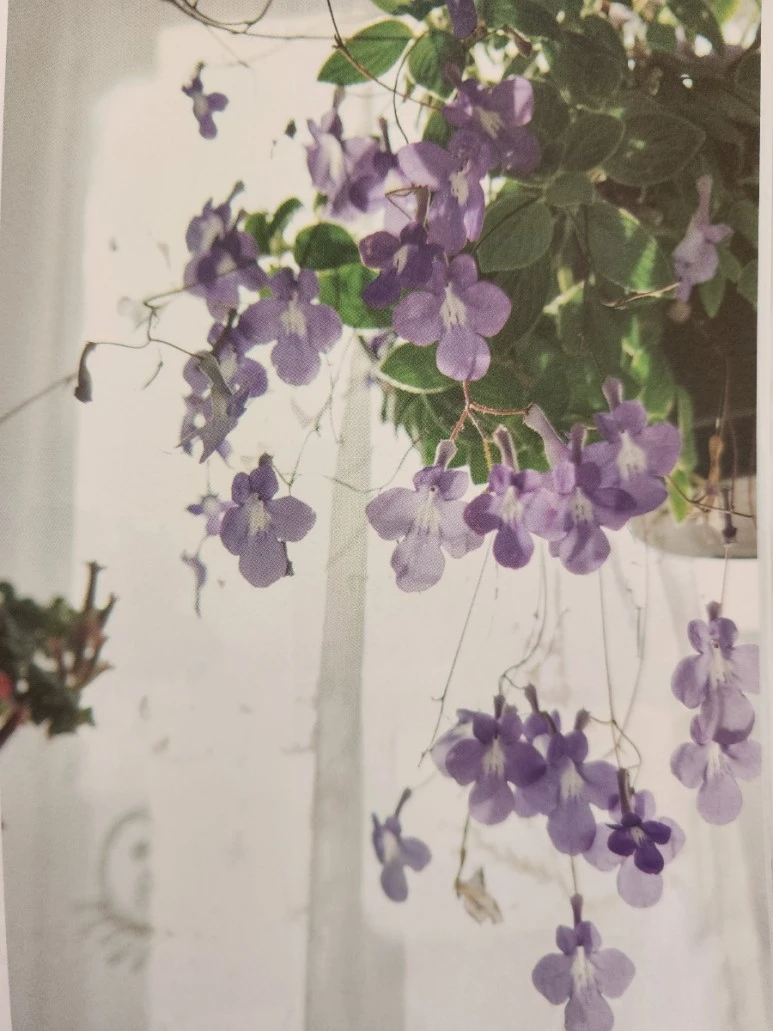 20230818%EF%BC%BF110727.jpg?type=w773