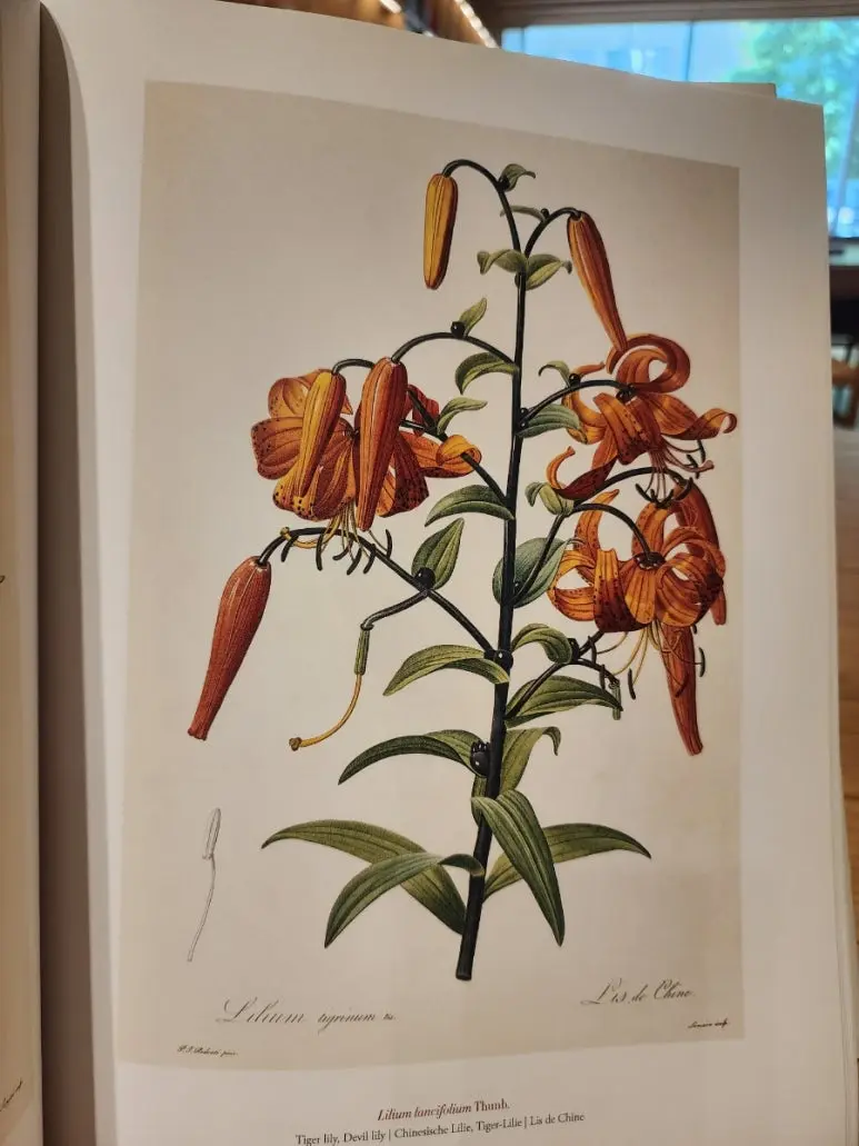 20240828%EF%BC%BF144313.jpg?type=w773