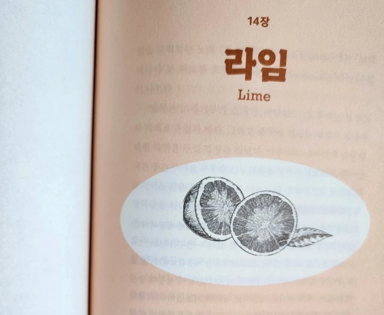 20230728%EF%BC%BF152356.jpg?type=w773