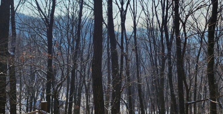 20231224%EF%BC%BF112249.jpg?type=w773