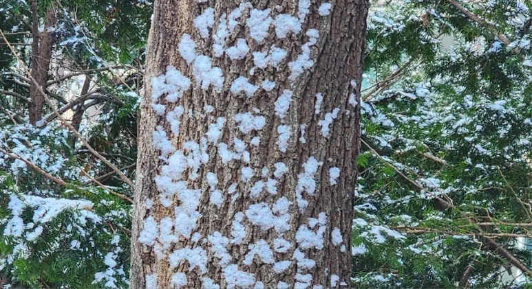 20231224%EF%BC%BF105436.jpg?type=w773