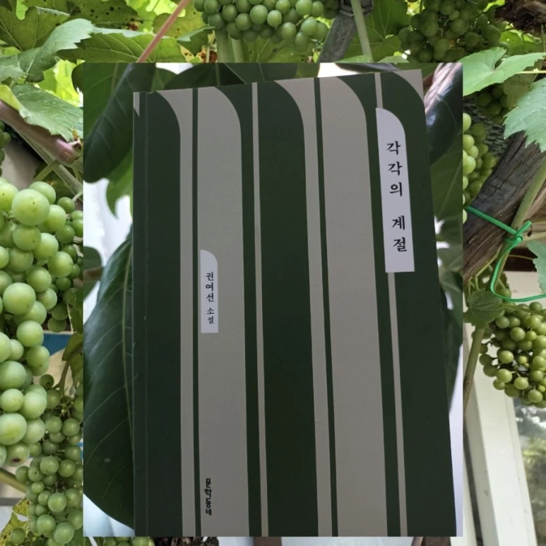 1691221811998.jpg?type=w773