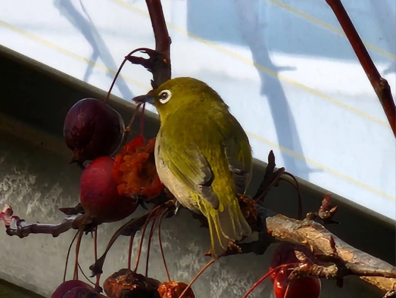 20231225%EF%BC%BF224041.jpg?type=w773