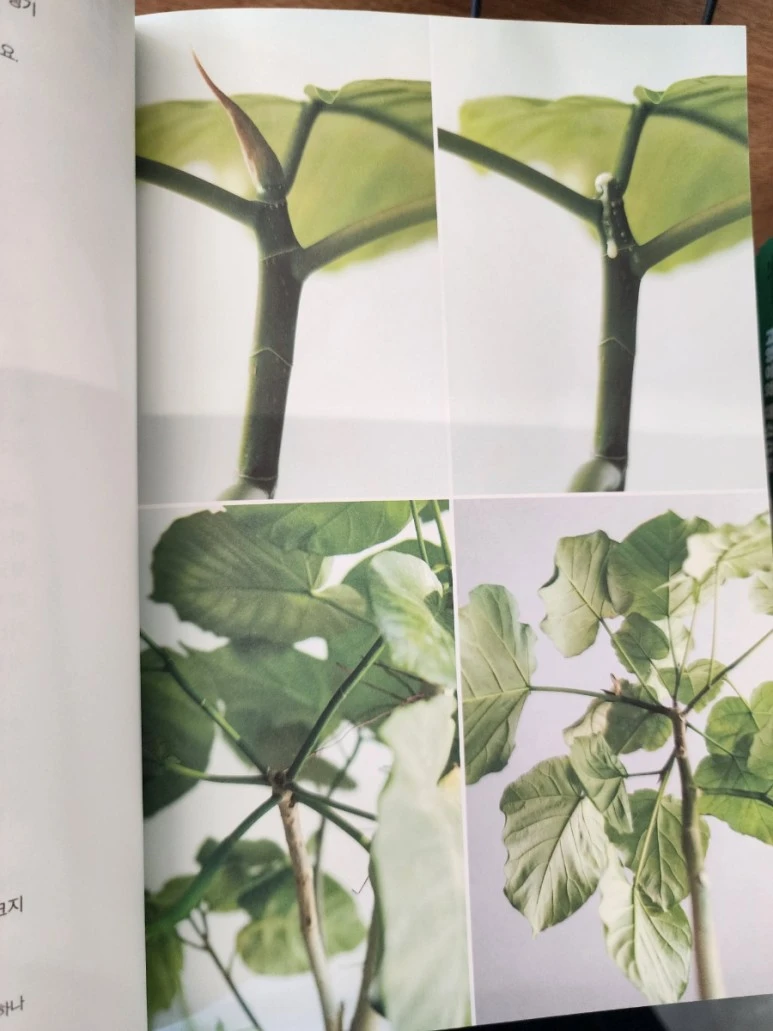 20230818%EF%BC%BF102448.jpg?type=w773