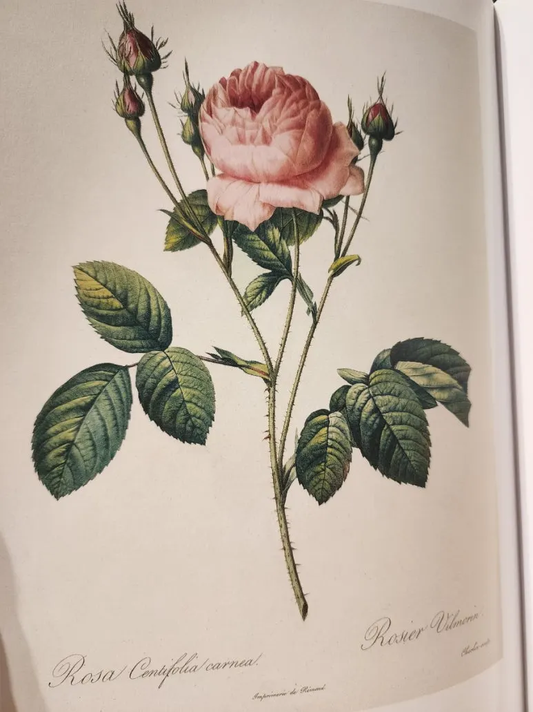 20240828%EF%BC%BF144439.jpg?type=w773