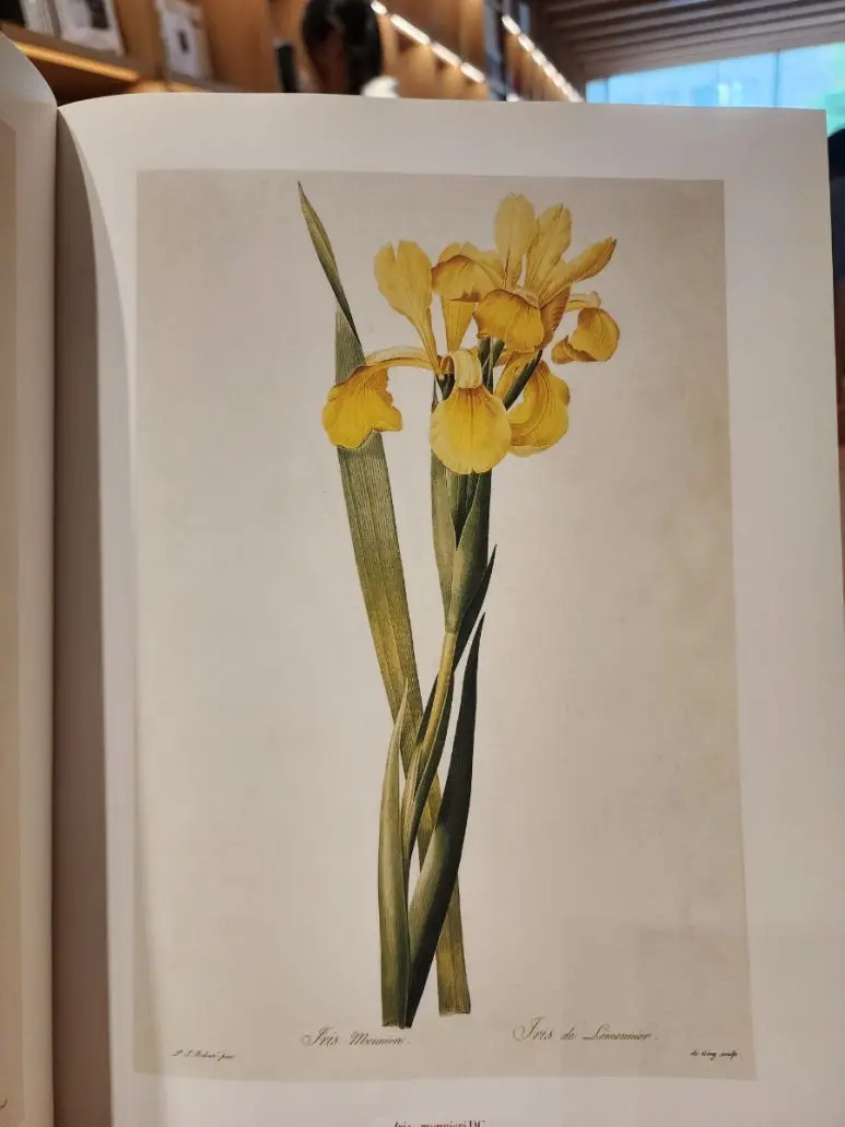 20240828%EF%BC%BF144155.jpg?type=w773