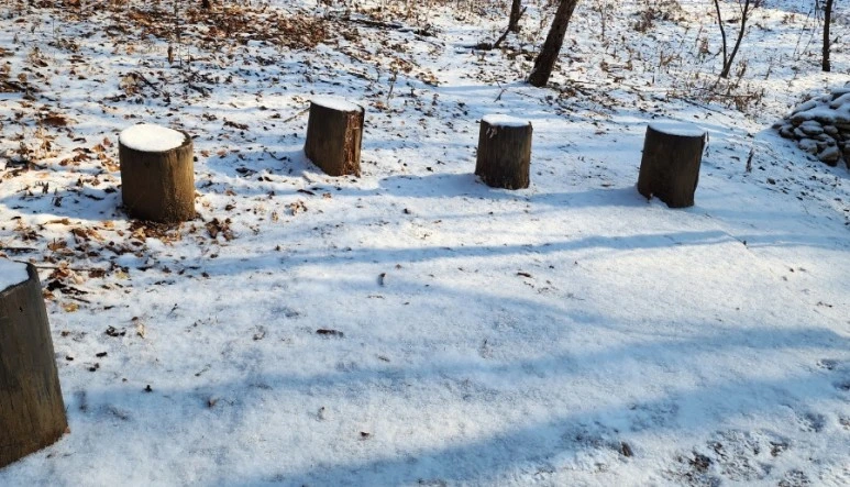 20231224%EF%BC%BF114131.jpg?type=w773