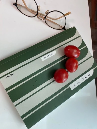 1691221827590.jpg?type=w386