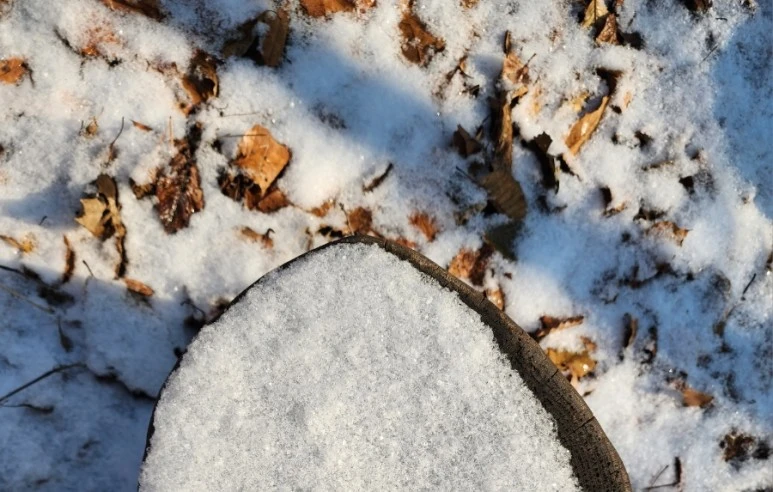 20231224%EF%BC%BF114148.jpg?type=w773