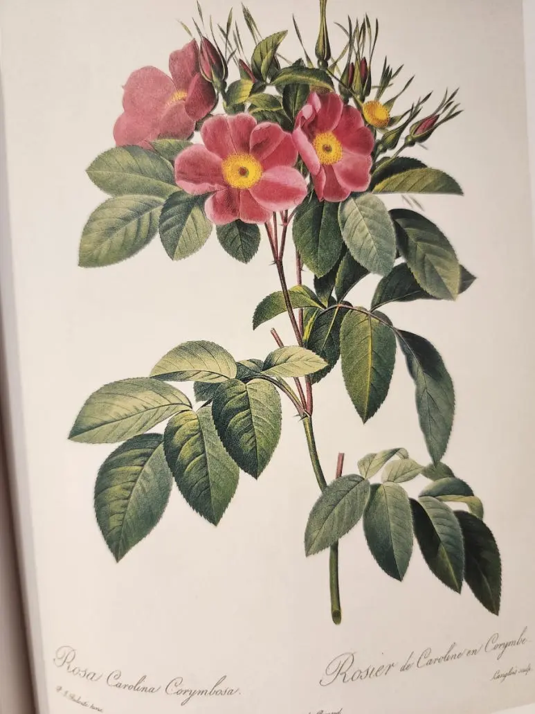 20240828%EF%BC%BF144536.jpg?type=w773