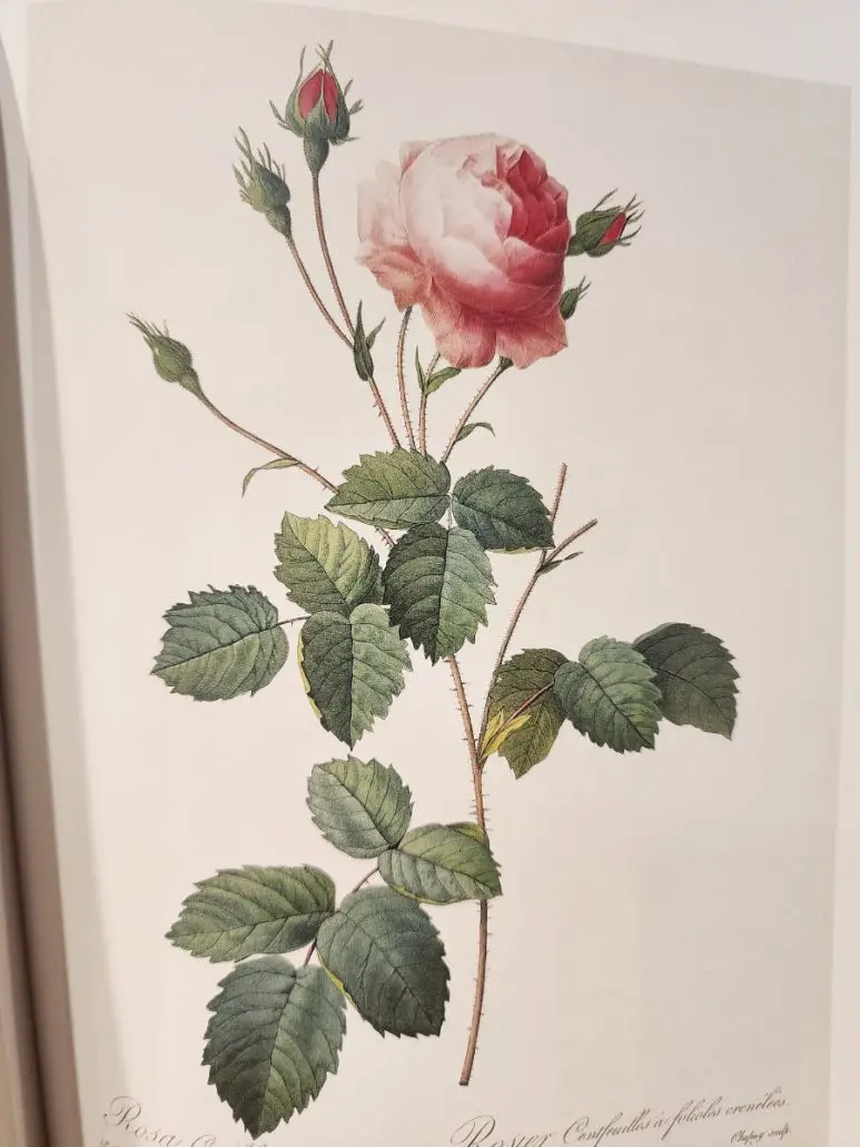 20240828%EF%BC%BF144658.jpg?type=w773