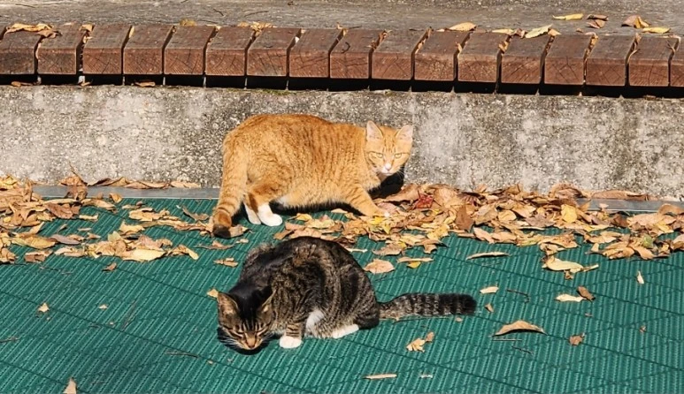 20231112%EF%BC%BF094956.jpg?type=w773