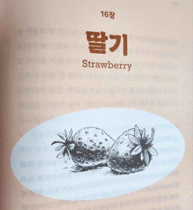 20230728%EF%BC%BF152309.jpg?type=w773