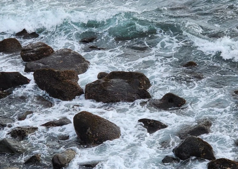 SE-9658c210-368a-11ee-8528-7d5abbba521e.jpg?type=w773