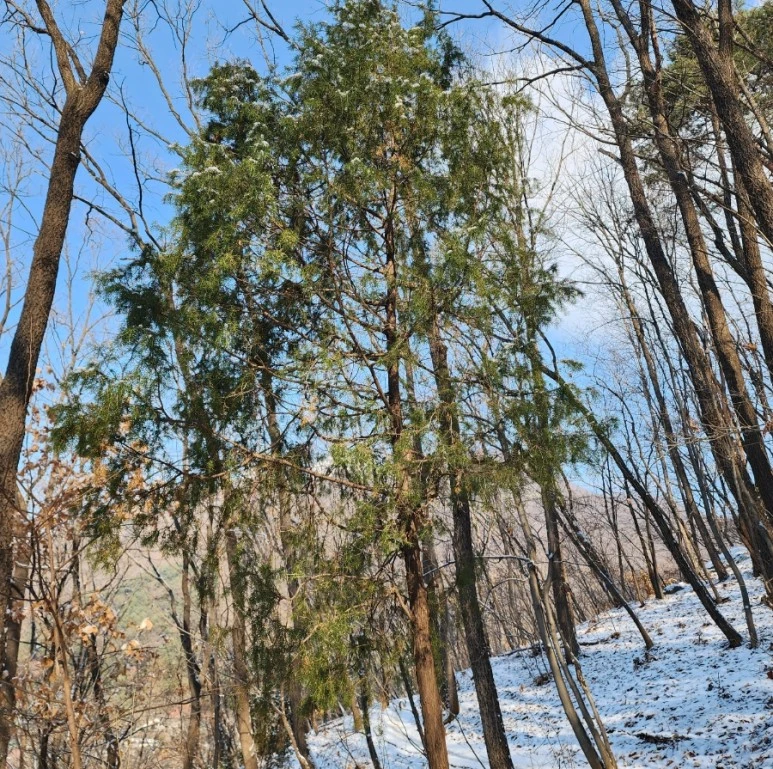 20231225%EF%BC%BF223624.jpg?type=w773