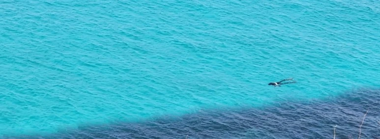 SE-965df234-368a-11ee-8528-c9ddb3969397.jpg?type=w773