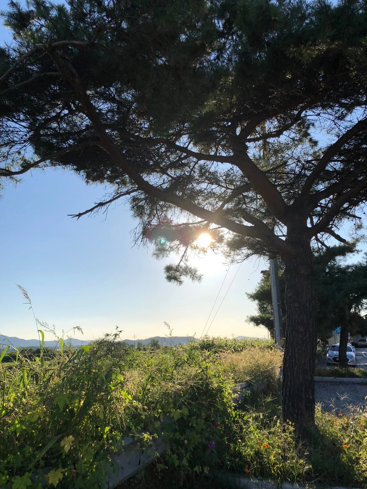 Qn9Epm8RWzSpz1_rxZVnGrK7CNvgIO466trhGYkfi_O_jxP_1KWVme_ML6ENTEnE-LZ_zkN2IAEzlQ3s8nGzwbPXzxFAt2Cn3O4wOow9ONRD6cW1SI6_a86CFEeNUSC-XEyvb0zU