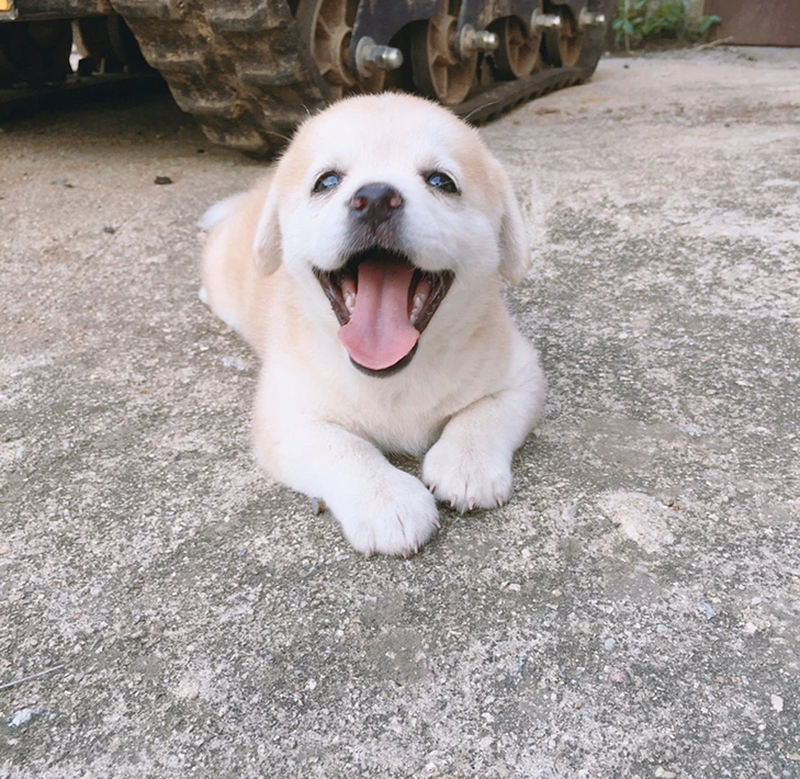 ctNQUM9yUc49XK2UEKweQBmiguFAIBOYfxaShr0q7tu2e9TNMzXAssDPwYwkfV9_6eUwhdQbsB6VjVhrHDvX1v2dMnisBUFU6L_qOLz7Als0nqCWiIFVHnk7N9pSY4bz88i20B1K