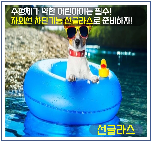 여름철 건강관리 6.PNG