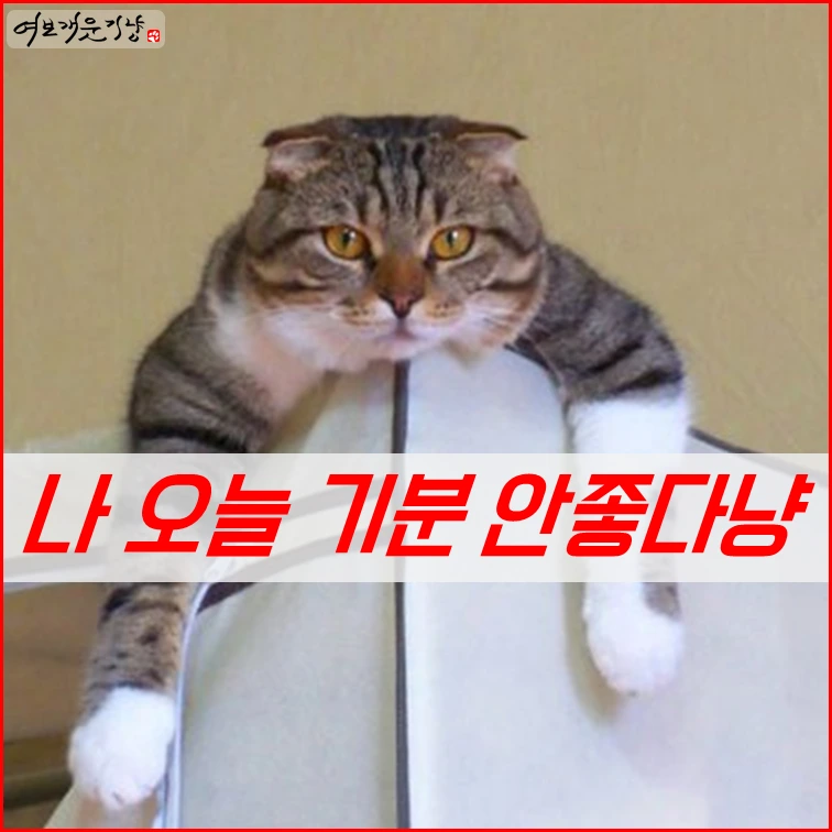 슬라이드1.PNG