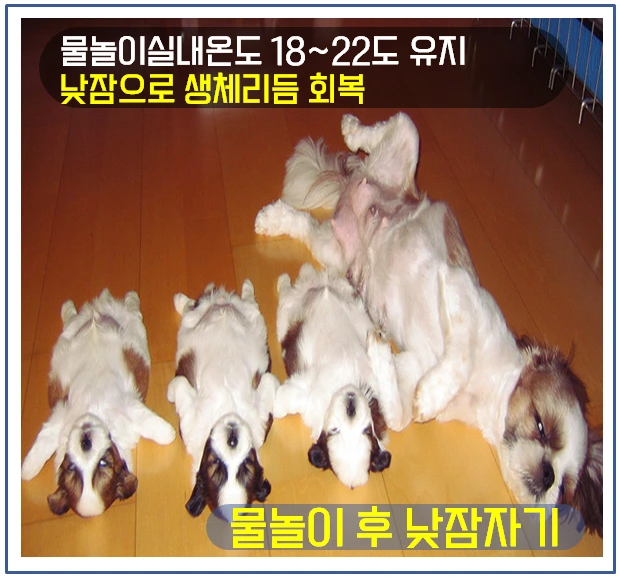여름철 건강관리 7.PNG