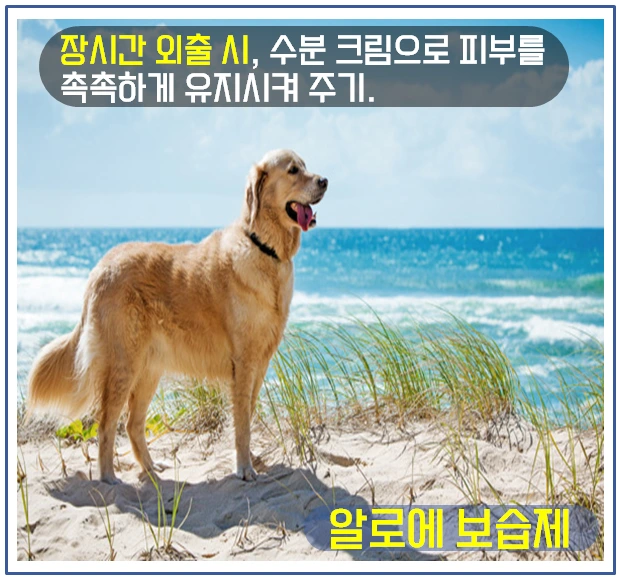 여름철 건강관리 3.PNG