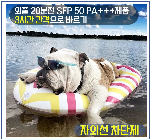 여름철 건강관리 2.PNG