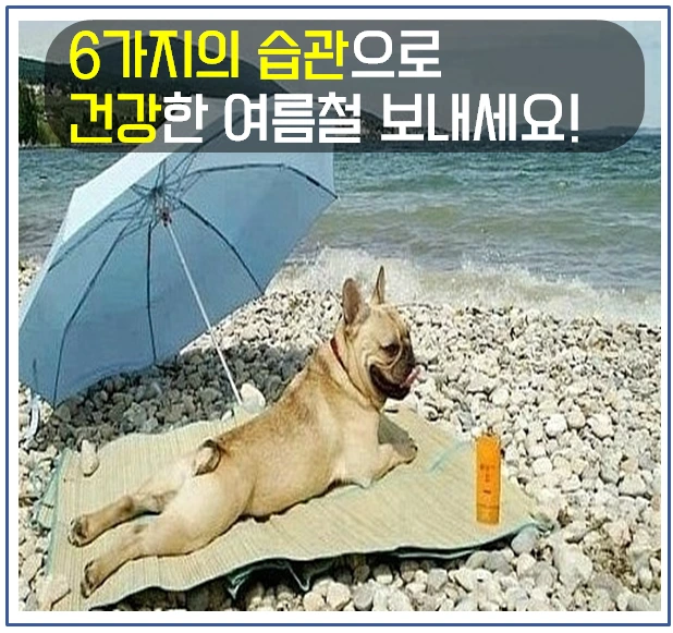여름철 건강관리 8.PNG