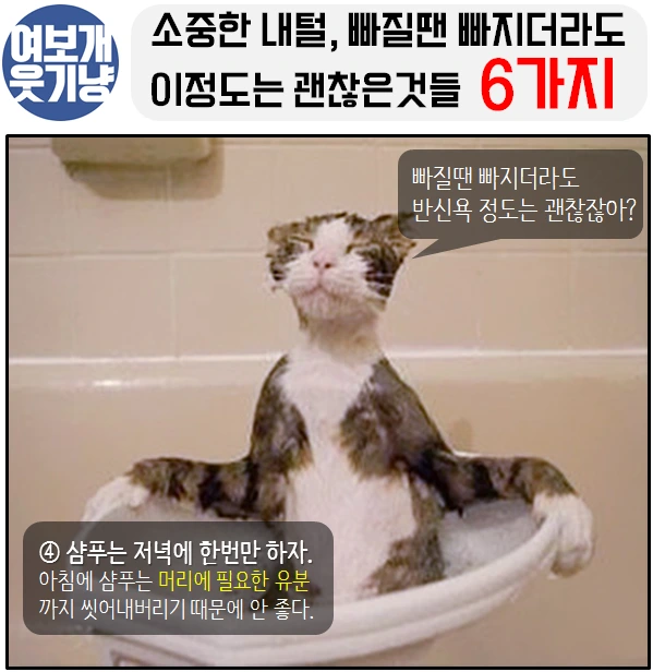 여보개 웃기냥 페북_4.PNG