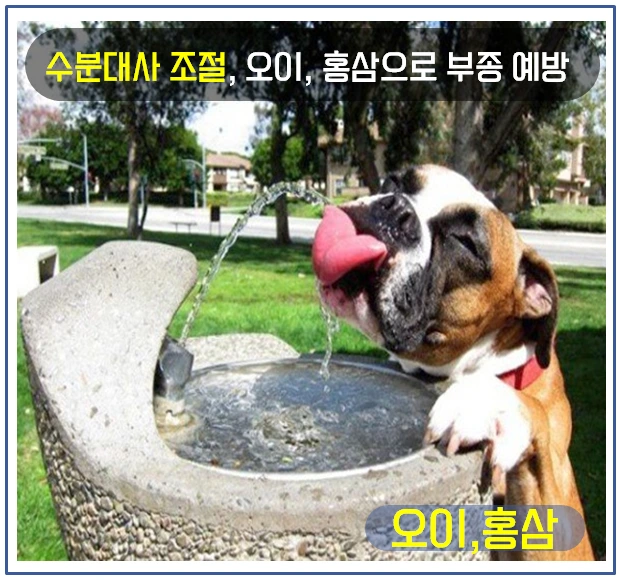 여름철 건강관리 5.PNG