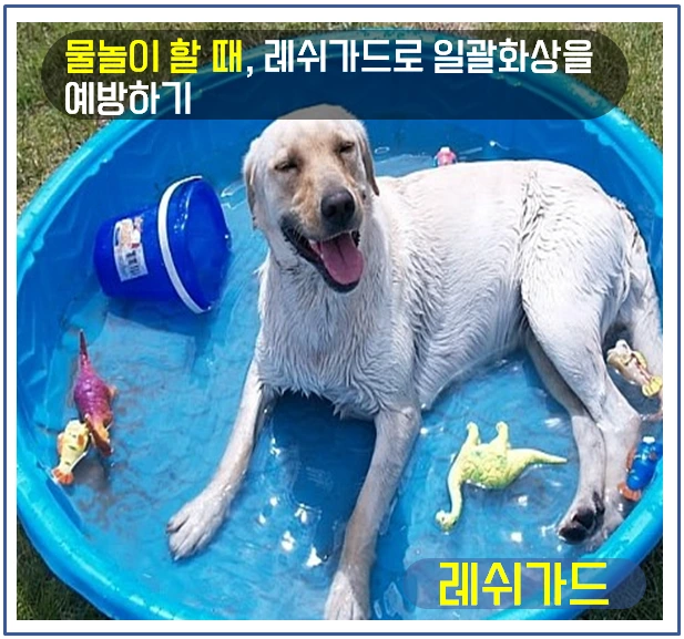 여름철 건강관리 4.PNG