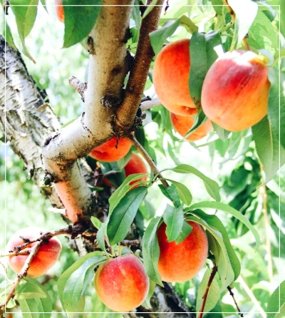 18ecb9d3c047b8a8d399bb7514de80d8.jpg?type=w773