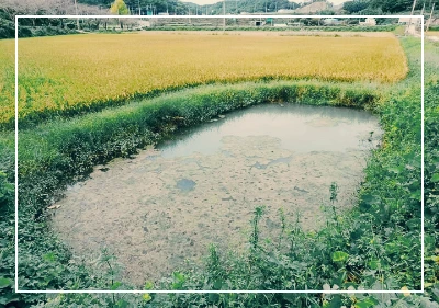 497650747_1611767886438318_9111029693776007021_n.jpg?type=w773