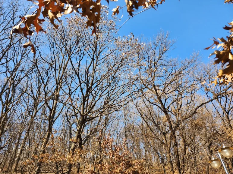 20250117_114159.jpg?type=w773