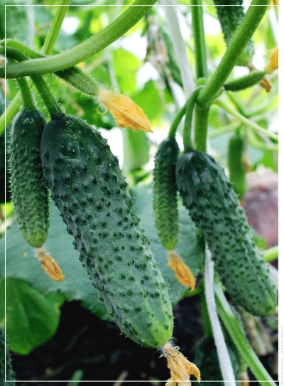 28edcec56d3e9d046ff6884c901c6658.jpg?type=w773