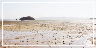 195792_14140_1341.jpg?type=w3840