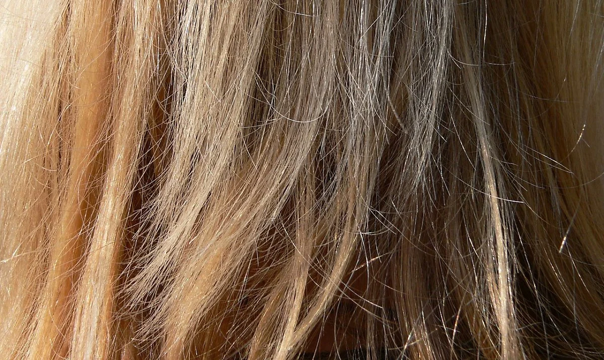 image_3074606361520386669204.jpg?type=w1200