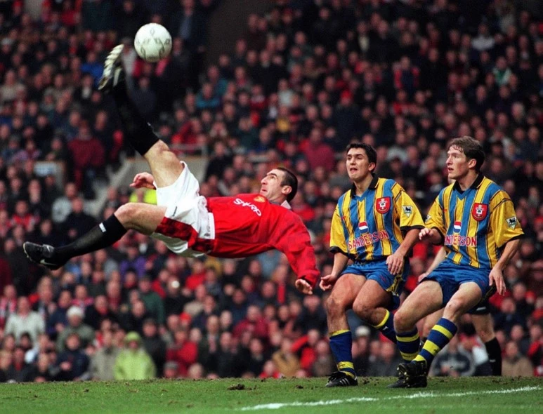 h_00247279.jpg?type=w773