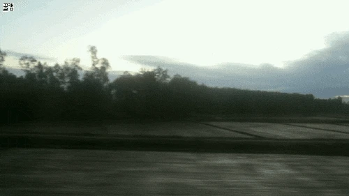 Honeycam_2017-01-12_18-28-48.gif?type=w773