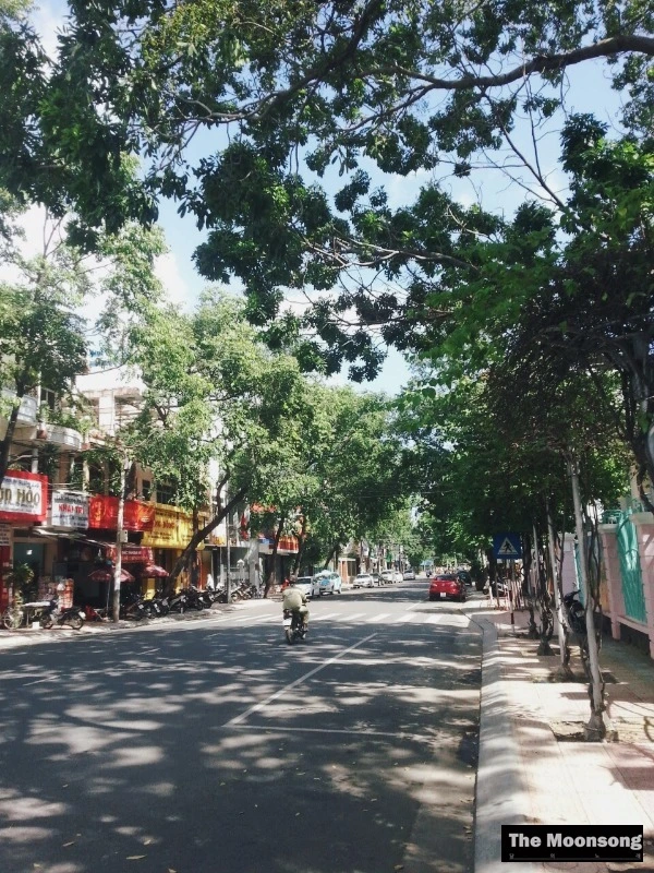 image_3540226951484117646610.jpg?type=w773