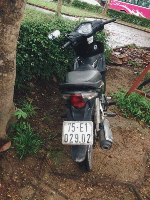 image_5460523731484117646617.jpg?type=w773