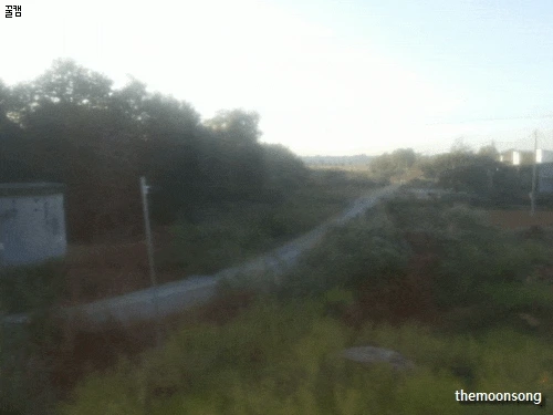 Honeycam_2017-01-12_18-41-24.gif?type=w773