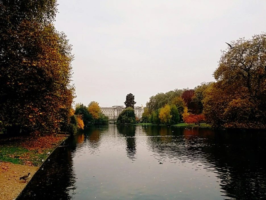 image_5599698701477558992938.jpg?type=w1