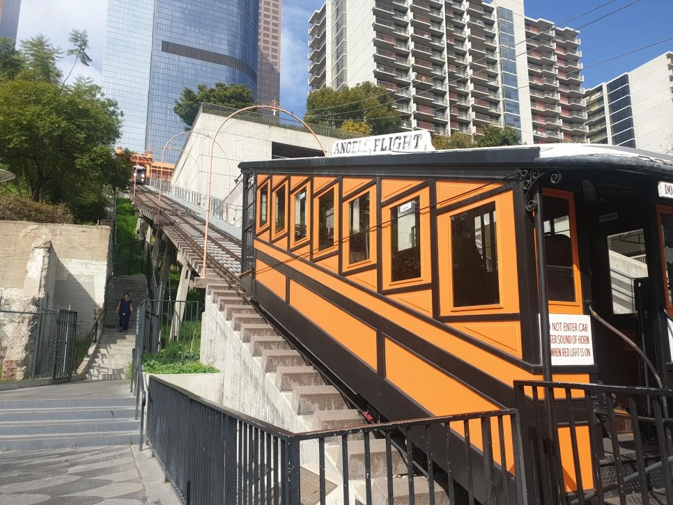 20200127_113130.jpg?type=w966