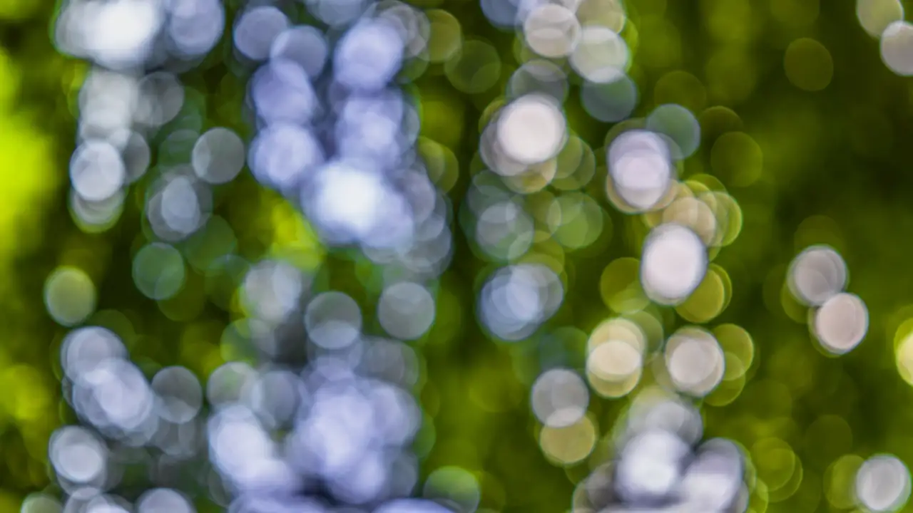 bokeh-blur-background-out-of-focus-957035.jpeg?auto=compress&amp;cs=tinysrgb&amp;h=750&amp;w=1260